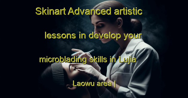 Skinart Advanced artistic lessons in develop your microblading skills in Lujia Laowu area | MicrobladingTraining | MicrobladingClasses | SkinartTraining-China